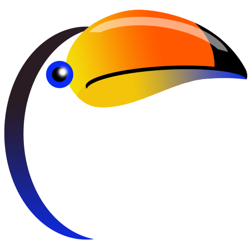 toucan consulting; toucanclick.com; local seo company; affordable websites